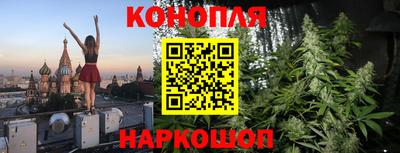 шишки Балашиха