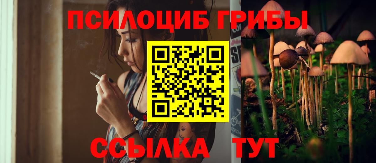 Псилоцибиновые грибы MAGIC MUSHROOMS  Галлюциногенные грибы ЛСД  Всеволожск  Вход с VPN 